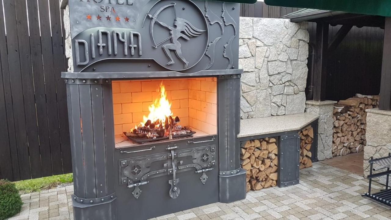 Spa Hotel Diana Frantiskovy Lazne Luaran gambar